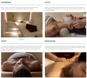 Izil Beauty hair care products for healthy hair